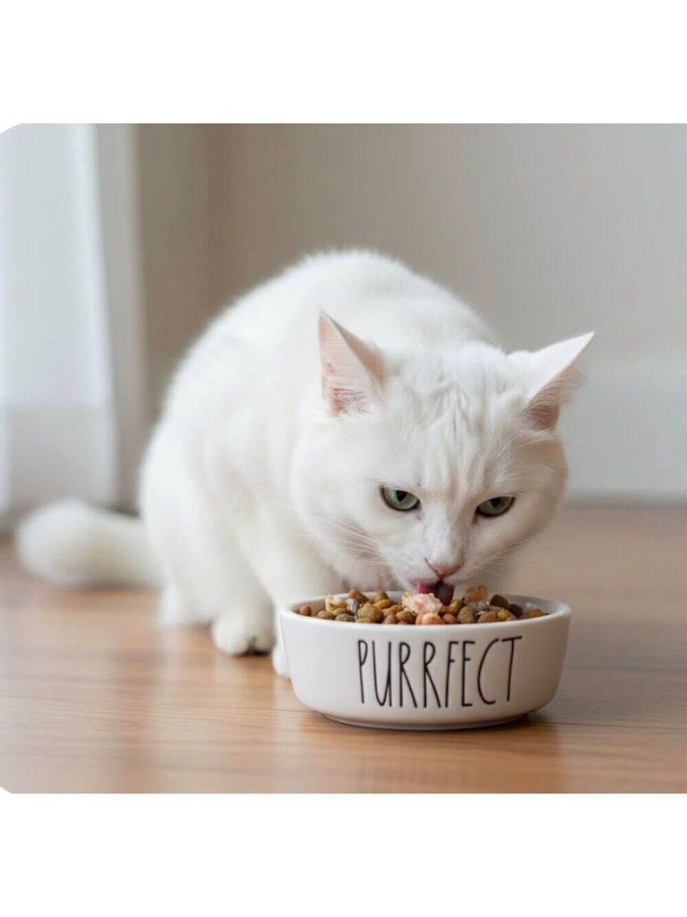 Rae Dunn "Purrfect" cat bowl